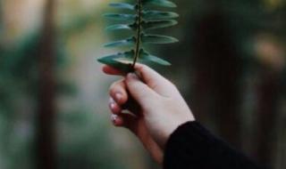 一辈子失去了你 一辈子失去了你